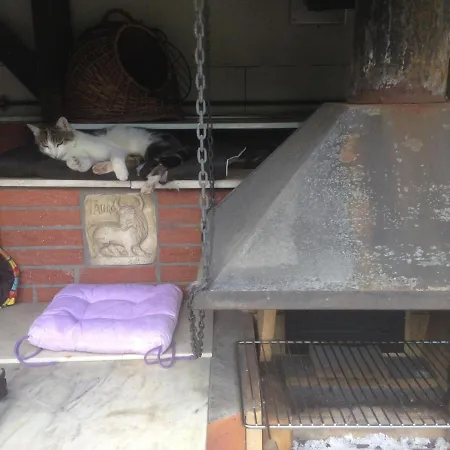 بيت شباب Dormitorium Wohnraum Auf Zeit