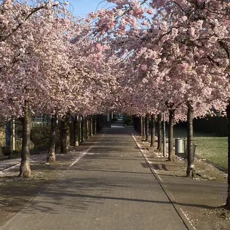 Dormitorium Wohnraum Auf Zeit بيت شباب