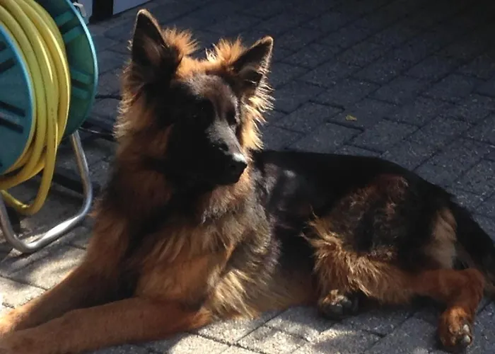 Auberge de jeunesse Dormitorium Wohnraum Auf Zeit