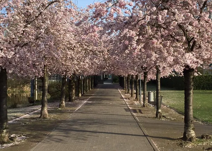 Dormitorium Wohnraum Auf Zeit Auberge de jeunesse