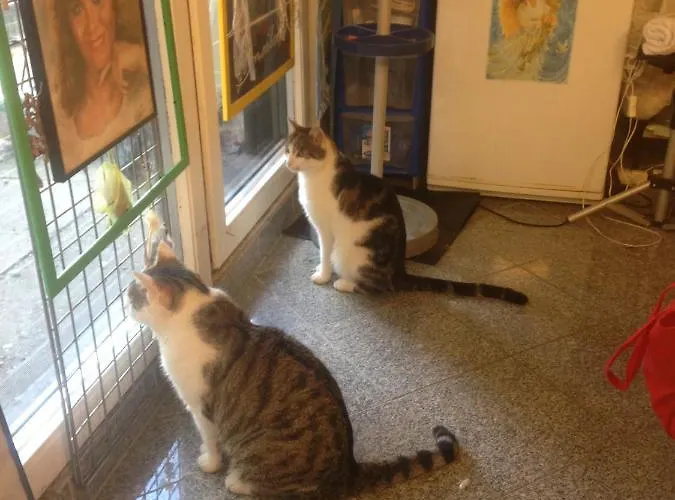 Dormitorium Wohnraum Auf Zeit Kaarst